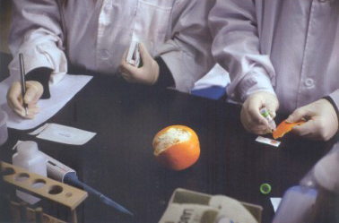 2013年3月28日，北京智云達科技有限公司食品安全快檢實驗室，技術(shù)員正在檢測橙子表皮的農(nóng)藥殘留是否超標(biāo)